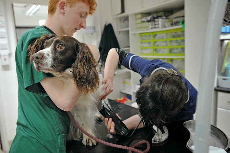 Business listing image