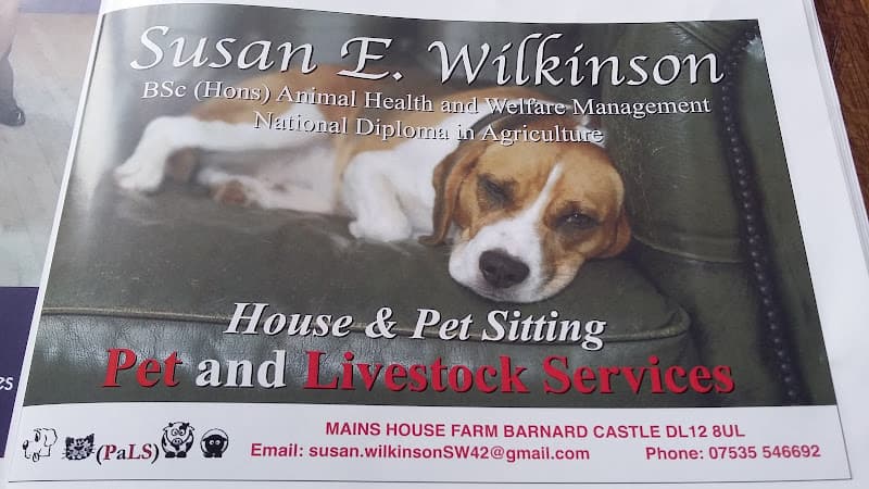 Business listing image