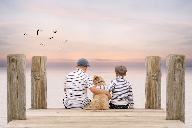 Business listing image