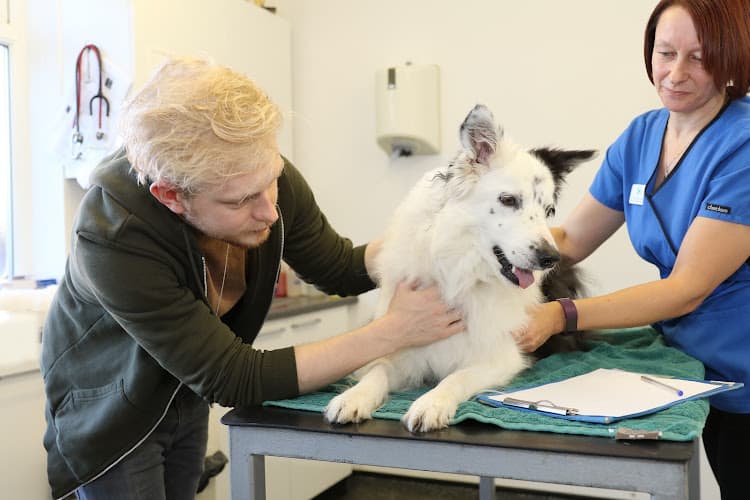 Business listing image