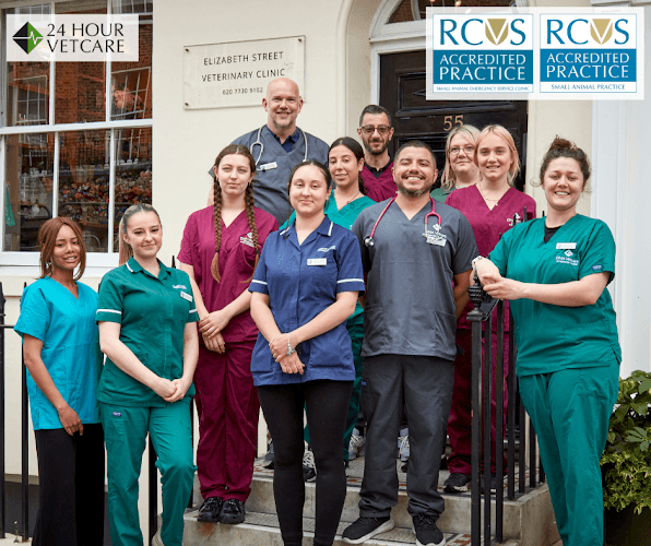 Business listing image