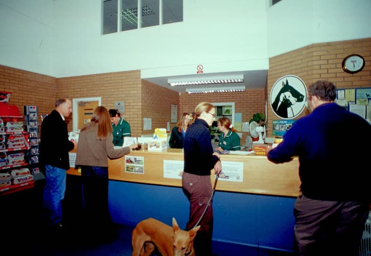 Business listing image