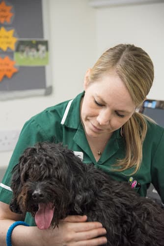 Business listing image