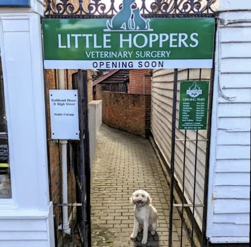 Business listing image