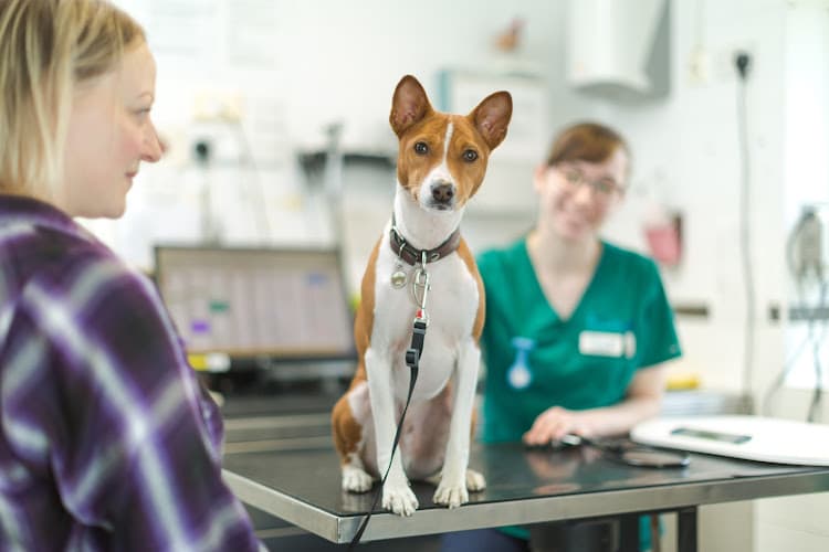 Business listing image