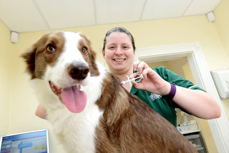 Business listing image