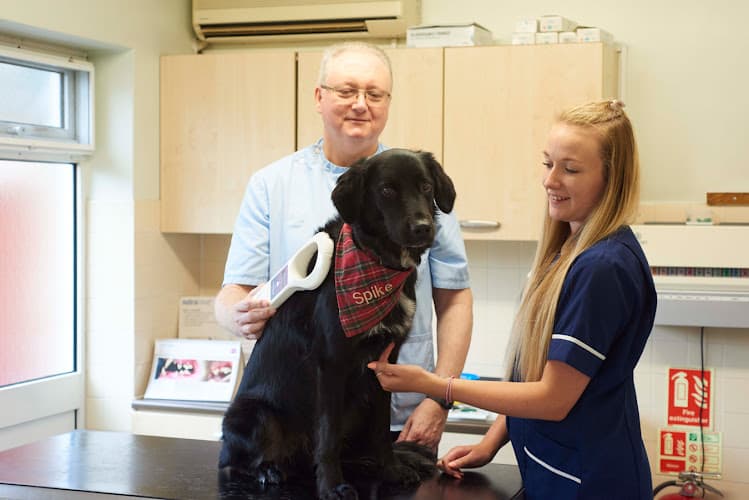 Business listing image