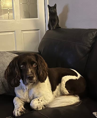 Business listing image