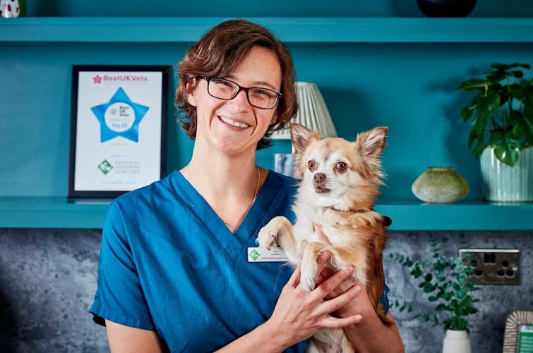 Business listing image