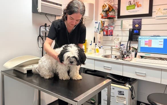 Business listing image