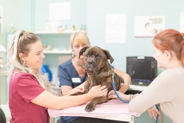 Business listing image