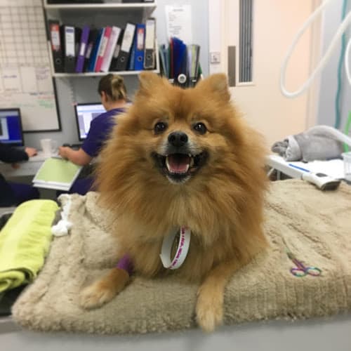 Business listing image