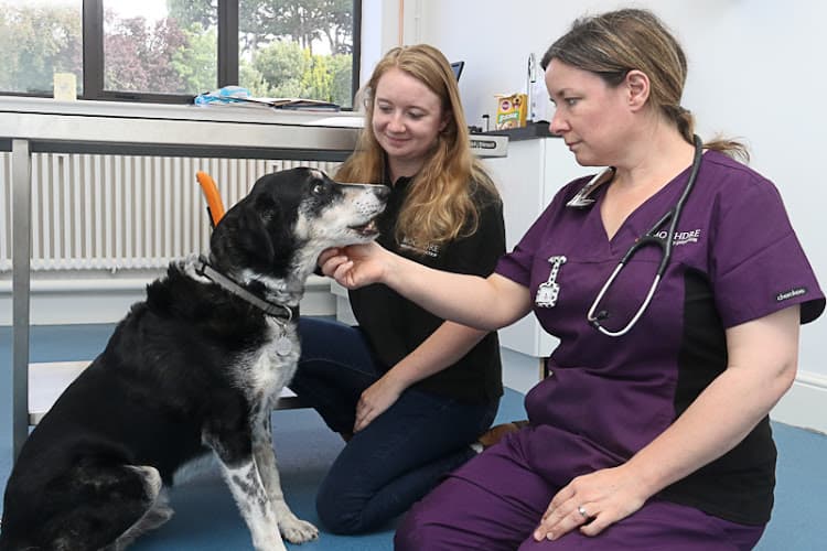 Business listing image