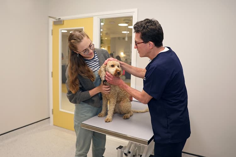 Business listing image