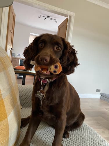 Business listing image