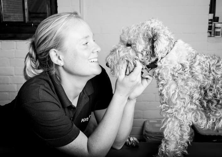 Business listing image