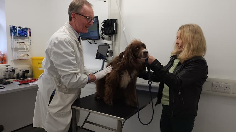 Business listing image