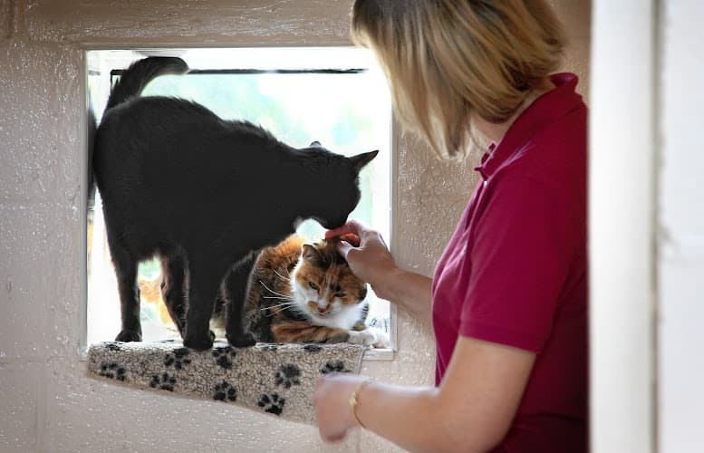 Business listing image