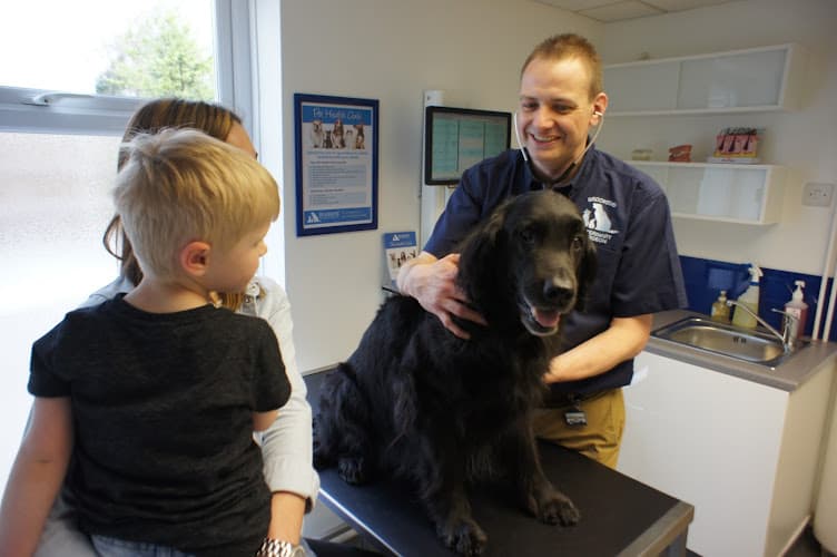 Business listing image