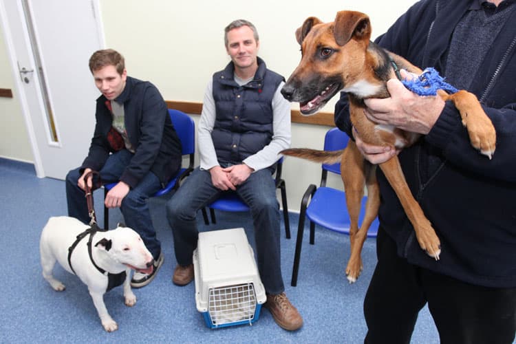 Business listing image