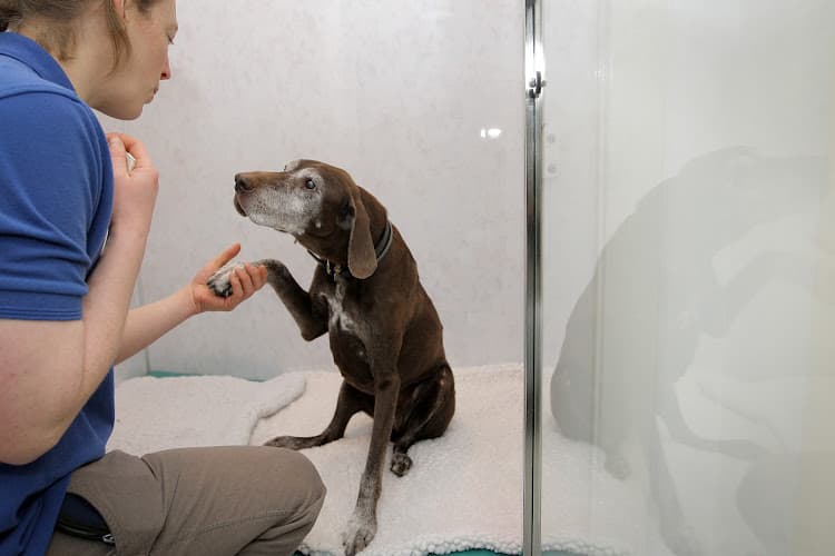 Business listing image