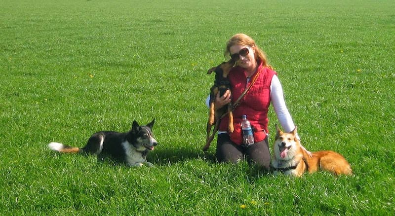 Business listing image