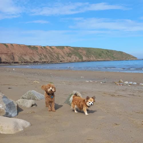 Business listing image