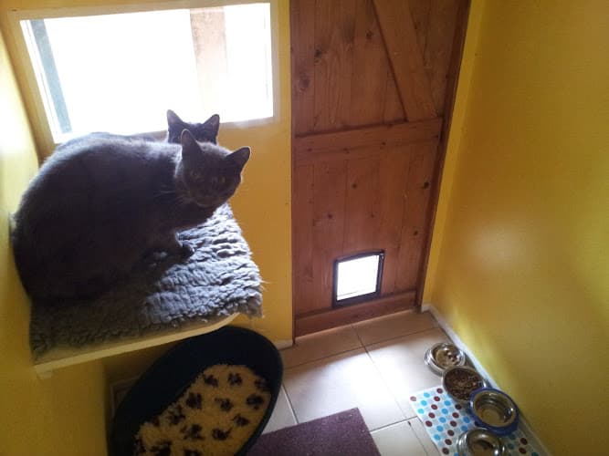 Business listing image