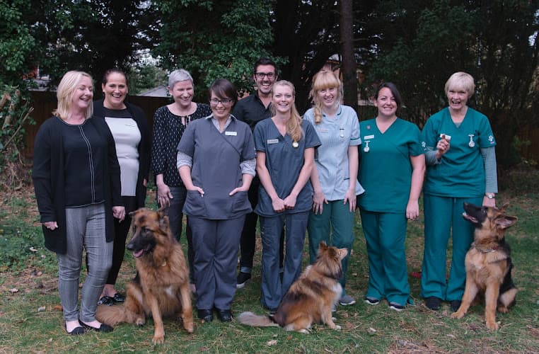 Business listing image