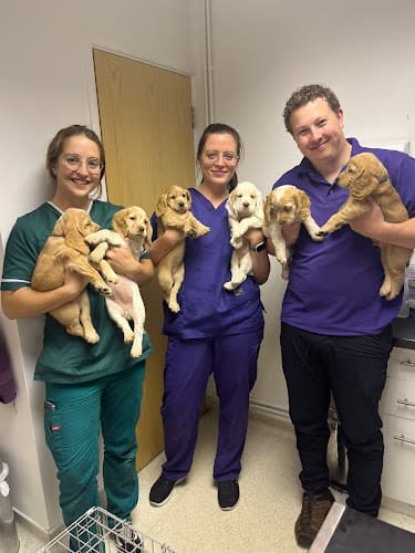 Business listing image