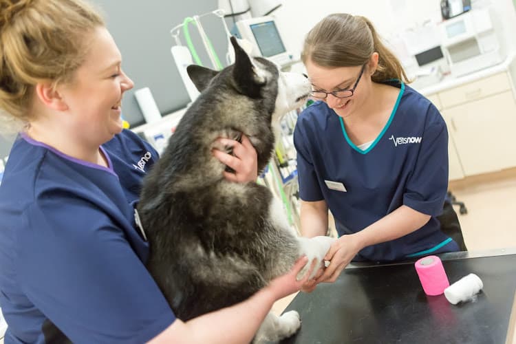 Business listing image