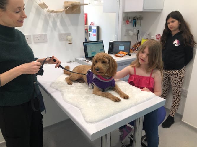 Business listing image