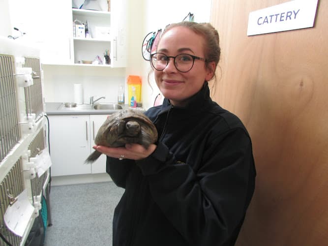 Business listing image