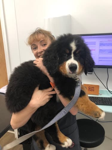 Business listing image