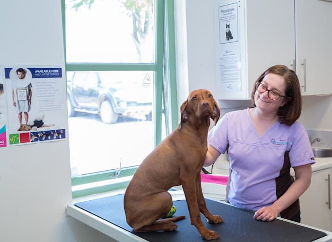 Business listing image