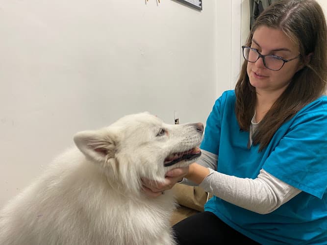 Business listing image