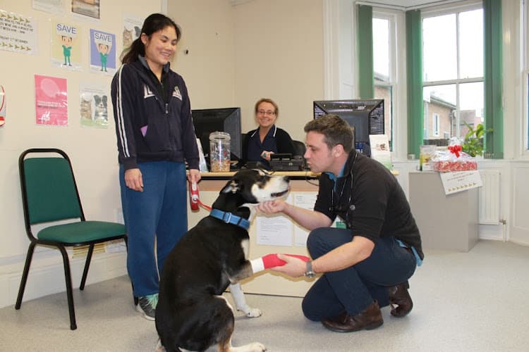 Business listing image