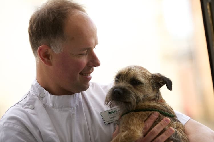 Business listing image