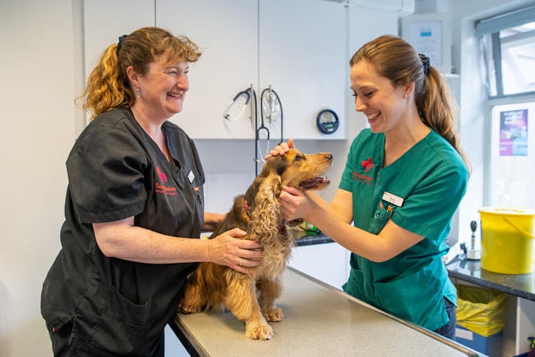 Business listing image