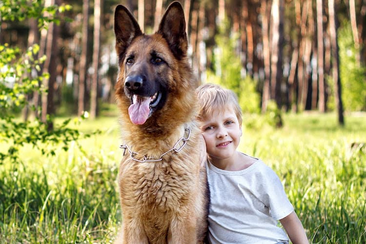 Business listing image