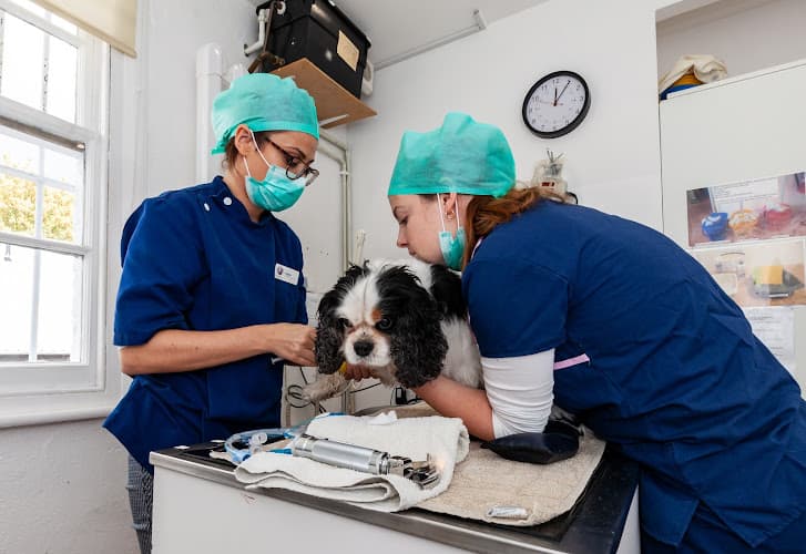 Business listing image