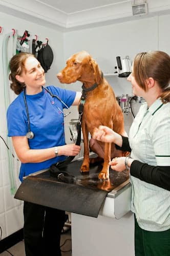 Business listing image