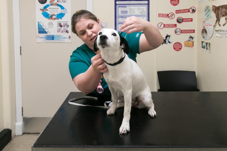 Business listing image