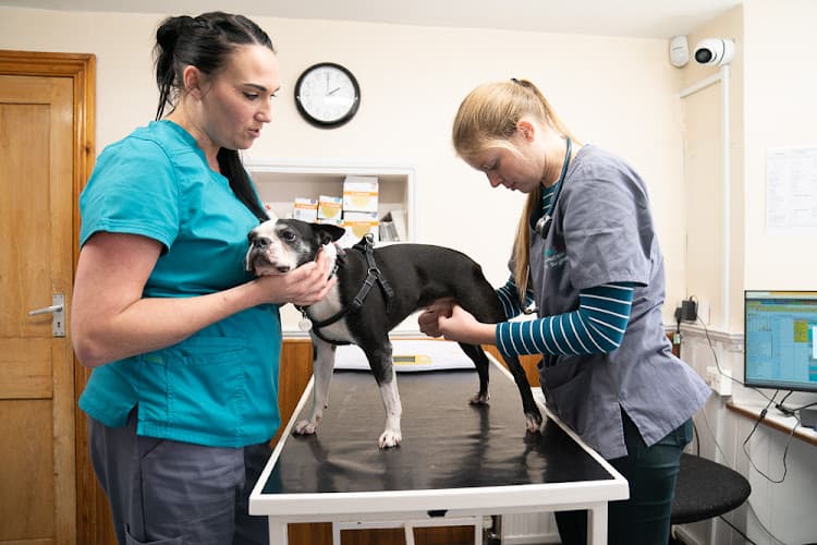 Business listing image