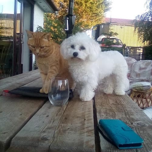 Business listing image