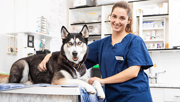 Business listing image