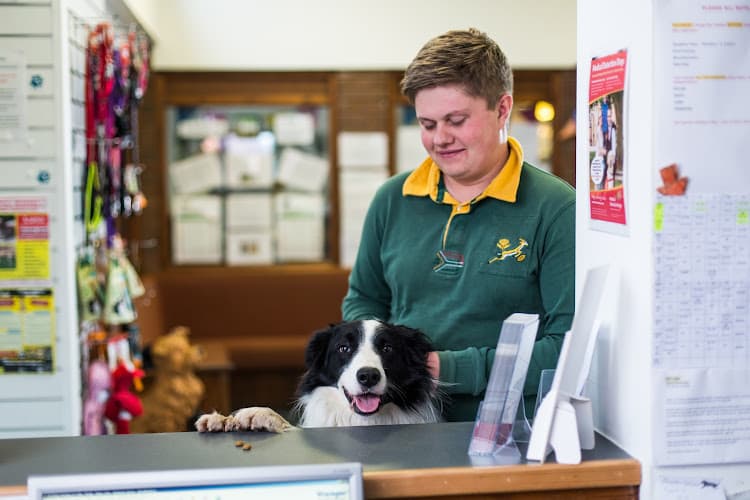 Business listing image