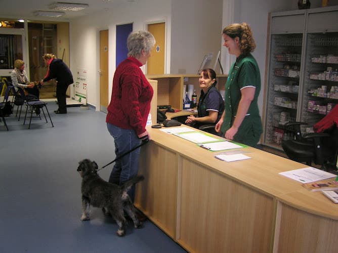 Business listing image