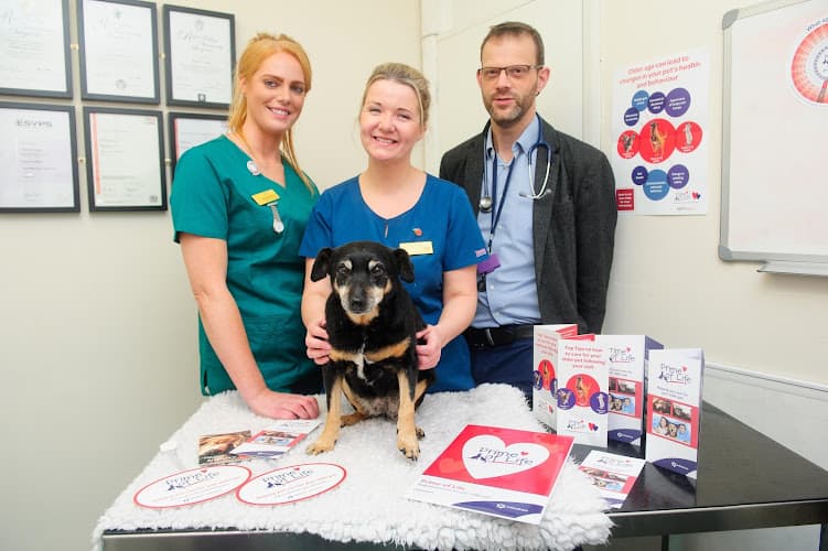 Business listing image