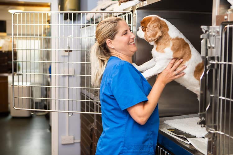 Business listing image